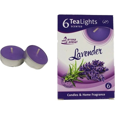 Morex Lavender 6 ks