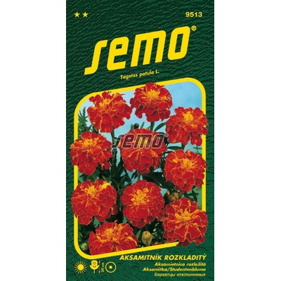 SEMO Aksamitník rozkladitý - Carmen 1 g