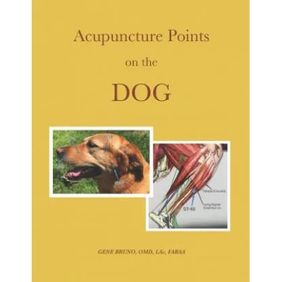 Acupuncture Points on the Dog | Gene C. Bruno