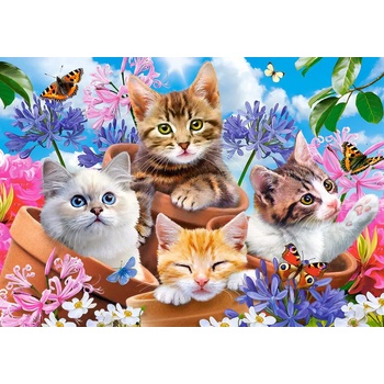 Castorland - Puzzle Kittens with Flowers 500 - 500 piese