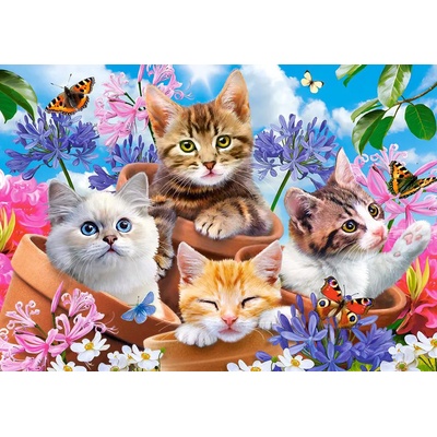 Castorland - Puzzle Kittens with Flowers 500 - 500 piese