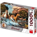 Puzzle Dino Koně secret collection 1000 dílků