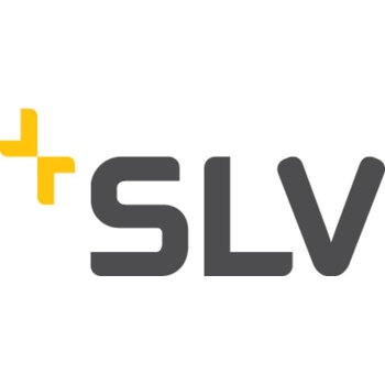 SLV 1000729