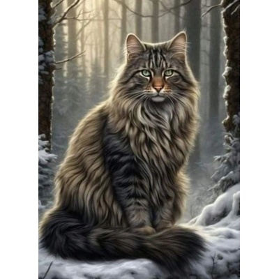 NORIMPEX Diamantové malování Kocour v lese 30 x 40 cm
