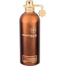 Montale Aoud Musk parfumovaná voda unisex 100 ml