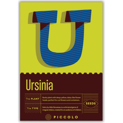 Piccolo Seeds U Ursinia 1 bal.