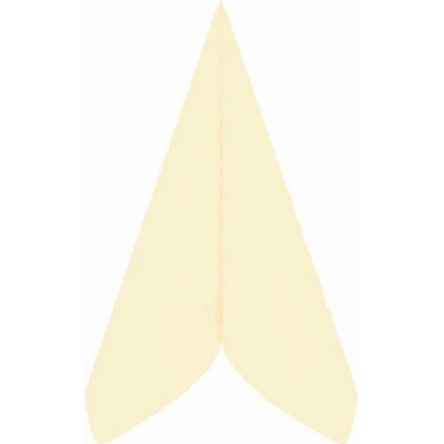 Airland ubrousky z netkané textílie Premium béžové 40x40cm