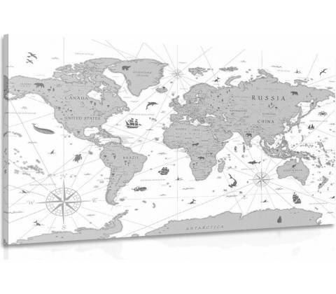 Obraz čiernobiela mapa