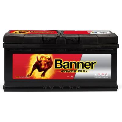 Banner Power Bull PROfessional 12V 110Ah 900A P110 40