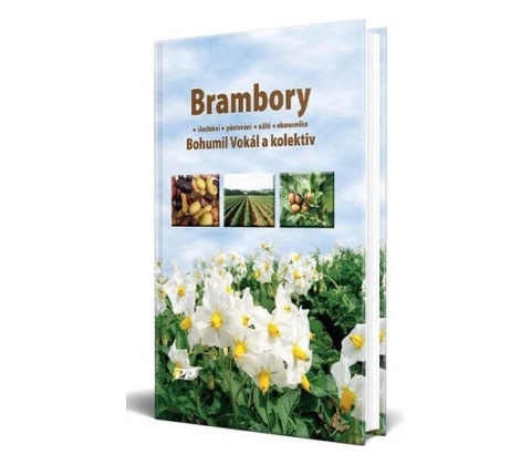 Brambory