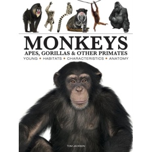Monkeys (ISBN: 9781838866044)