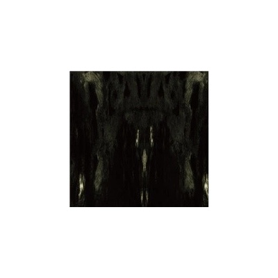 Impetuous Ritual - Unholy Congregation of Hypocritical Ambivalence
