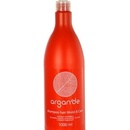 Stapiz Argan De Moist & Care Shampoo šampón na normální vlasy 1000 ml