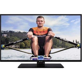 GoGEN TVF 22P406