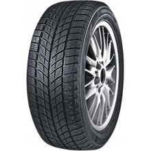 DoubleStar DW09 245/45 R18 96T