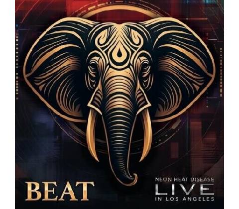 The Beat - Live CD