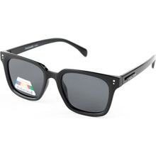 Finmark F2309