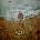 McBryde Ashley - Wild CD