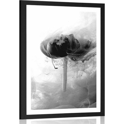 Plakát s paspartou zajímavý květ v černobílém provedení - 40x60 no frame