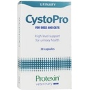 PROTEXIN CystoPro 30 tbl