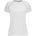Stedman mesh team raglan st8130 / Дамска спортна риза с реглан - бяла s (st8130whis)
