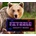 Fitzzle Mighty Bears
