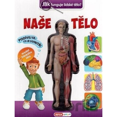 Naše tělo