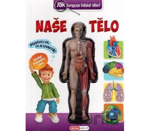 Naše tělo