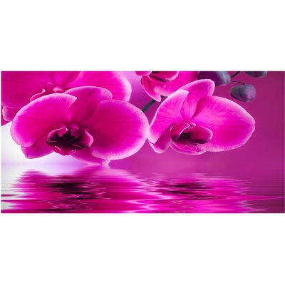 Fotoobraz na skle orchidea 100x50 cm
