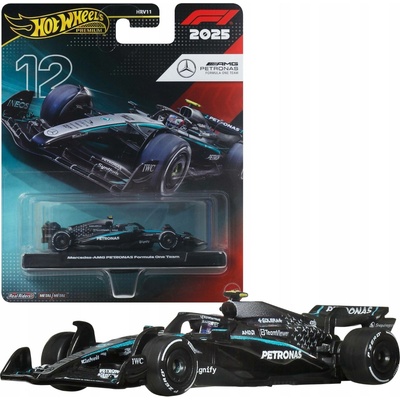 Mattel Hot Wheels Mercedes AMG Petronas Formula One Team