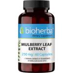 Bioherba Mulberry Leaf Extract, 250 mg, 60 капсули, Bioherba