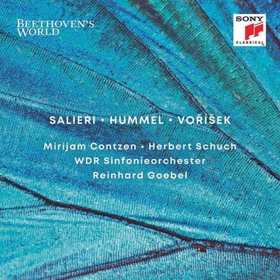 GOEBEL, REINHARD - BEETHOVEN'S WORLD: SALIERI, HUMMEL, VORISEK