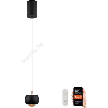 Immax 07219L - LED регулируема лампа DORMINE 6W/230V мат черна Tuya +DO (IM1213)