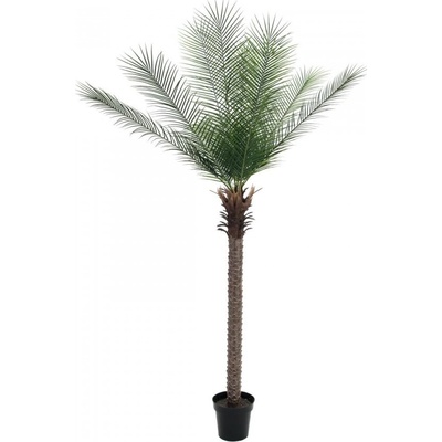 Phoenix palma deluxe, 220 cm