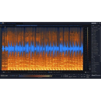 iZotope RX 11 Standard Digitální produkt – Zboží Živě