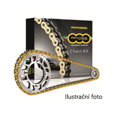 Řetězová sada Regina Kawasaki BN 125 Eliminator 2009 zlatá RH2 132 čl.