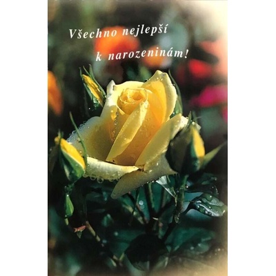 Všechno nejlepší k narozeninám! (SG 111)