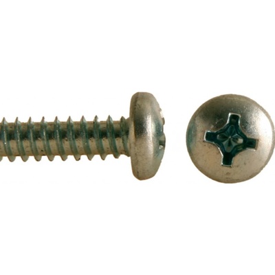 Šroub do plechu ZnB, půlkulatá hlava, DIN 7981 - 5.5x19