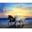 Norimpex - Puzzle Diamant painting: Horses on the beach 30x40cm - 1 - 39 piese