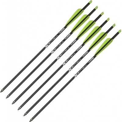 Black Flash Archery TrueX Bear Archery karbon 20″ 6 ks