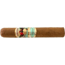Paradiso Elegancia Robusto 25 ks
