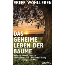 Das geheime Leben der Bäume - Peter Wohlleben