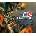 THQ Classic Games Core Bundle