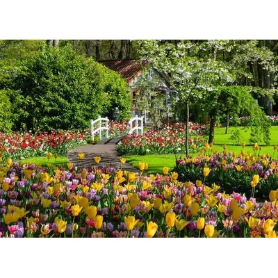 Ravensburger - Puzzle Beautiful Gardens - Netherlands - 1 000 piese