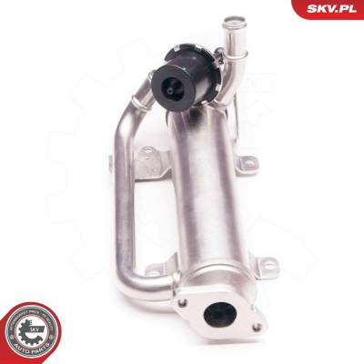 AGR - Ventil ESEN SKV 14SKV126