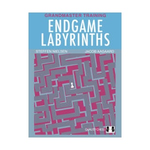 Endgame Labyrinths | Steffen Nielsen (ISBN: 9781784831523)
