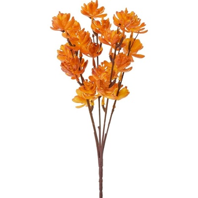 ZELEŇ SUKULENT ORANŽOVÁ 30CM
