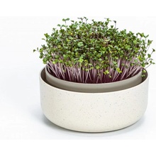 Plastia klíčiaca miska MICROGREENS - slonová kosť