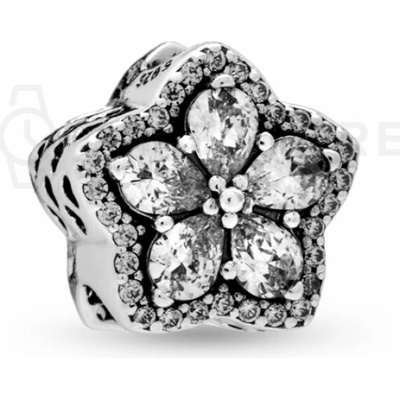 Pandora 799224C01