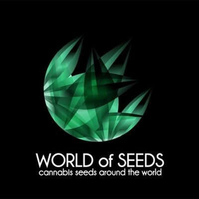 World of Seeds Pakistan Ryder semena neobsahuji THC 3 ks – Zboží Dáma